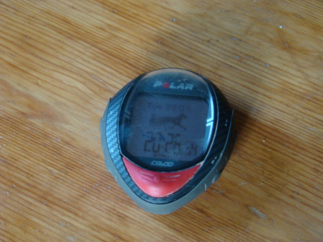 Pulsdator