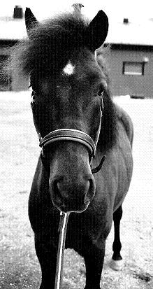 Ilding