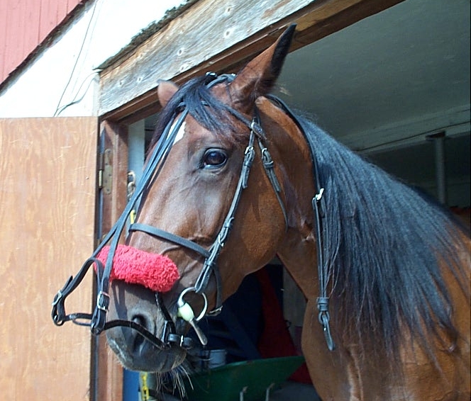 Raymondkäk