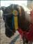 WiLmA-